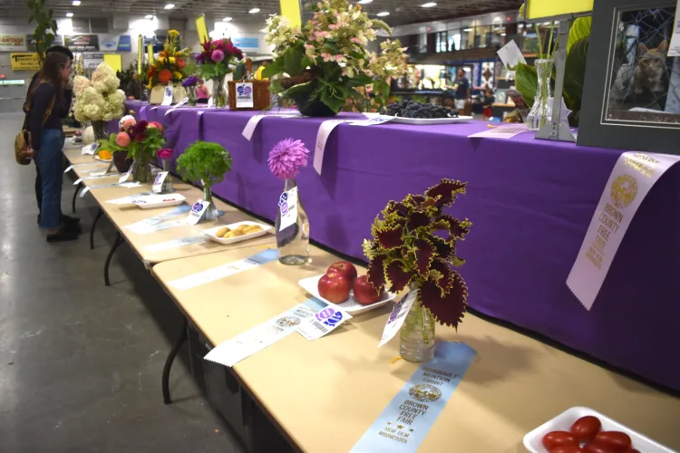 Fair horticulture tables feature 53 entries